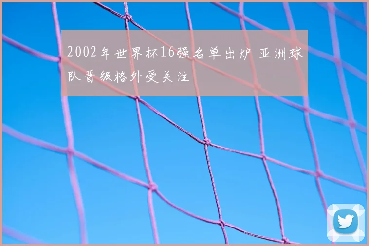 2002年世界杯16强名单出炉 亚洲球队晋级格外受关注